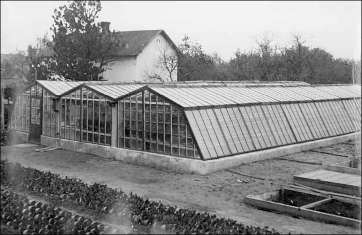 A kertészet üvegházai